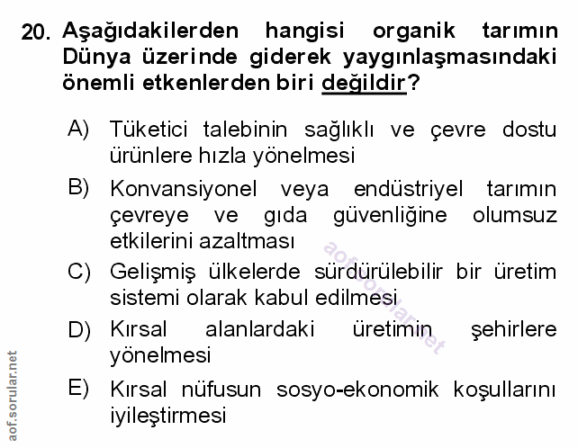 Soru 20