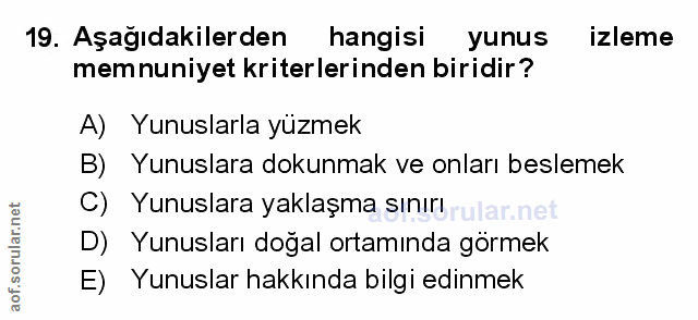 Soru 19