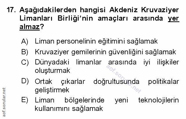 Soru 17
