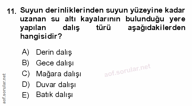 Soru 11