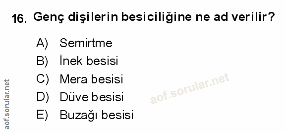 Soru 16