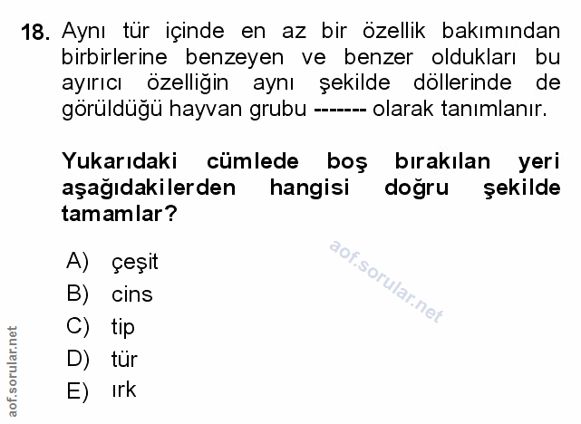 Soru 18