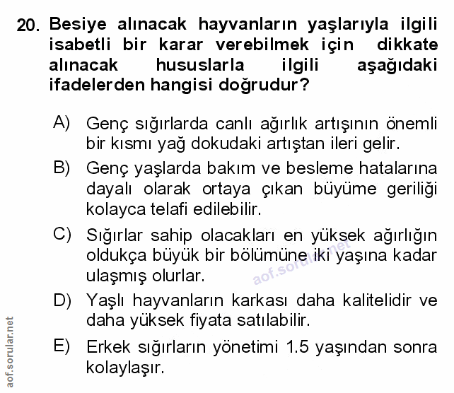 Soru 20
