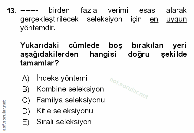Soru 13