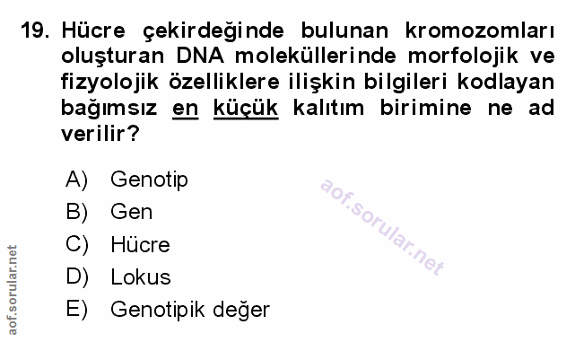 Soru 19