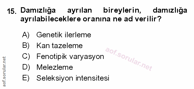 Soru 15