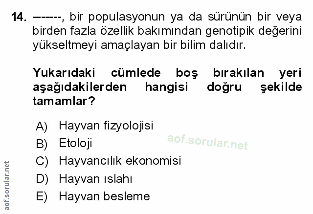 Soru 14