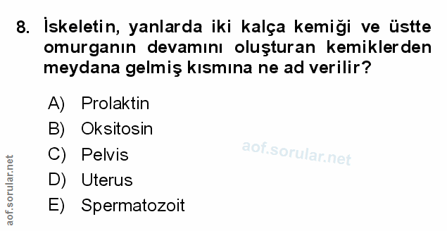 Soru 8