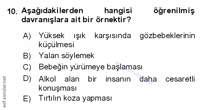 Soru 10