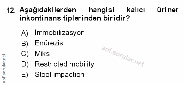 Soru 12