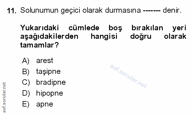Soru 11