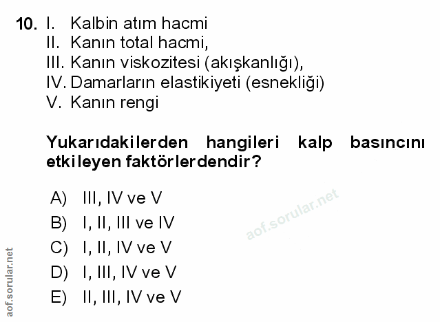Soru 10