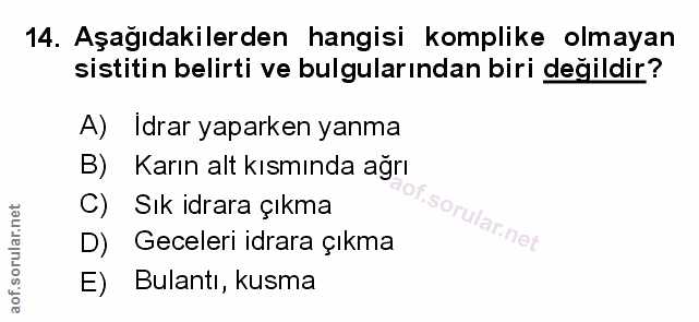 Soru 14