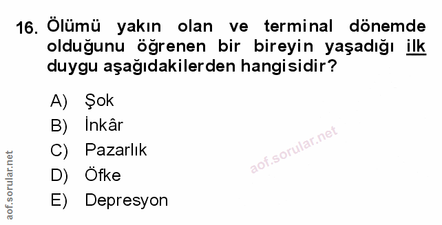 Soru 16