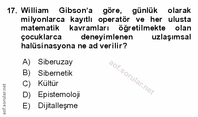 Soru 17