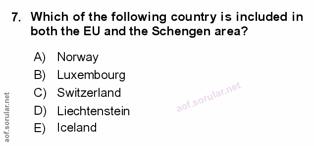 Soru 7