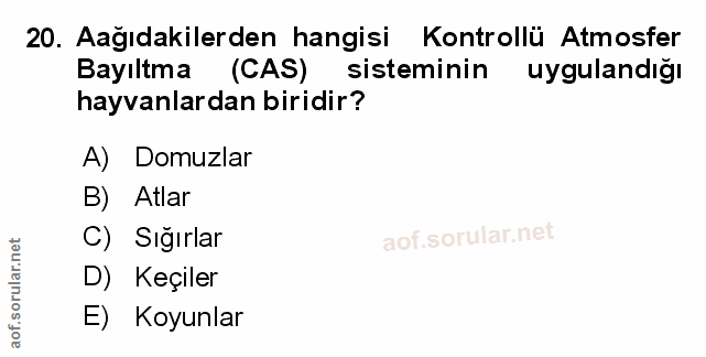 Soru 20