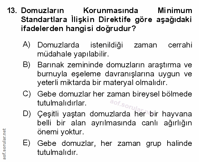 Soru 13