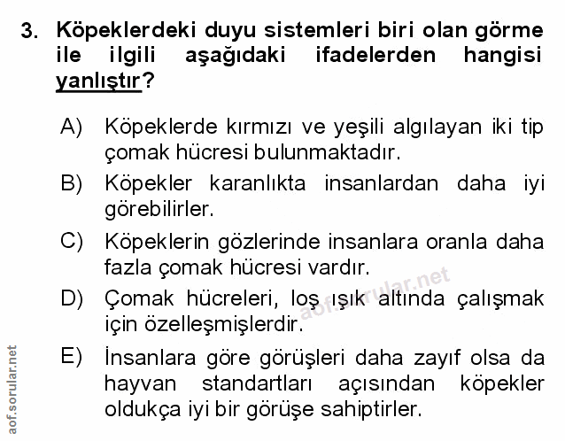 Soru 3