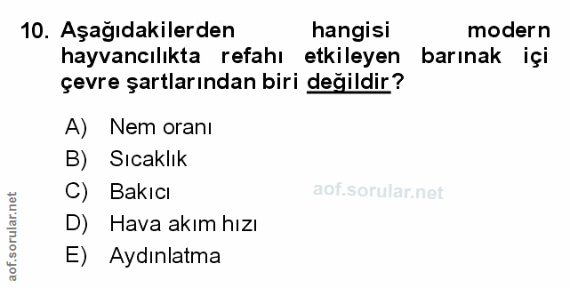 Soru 10