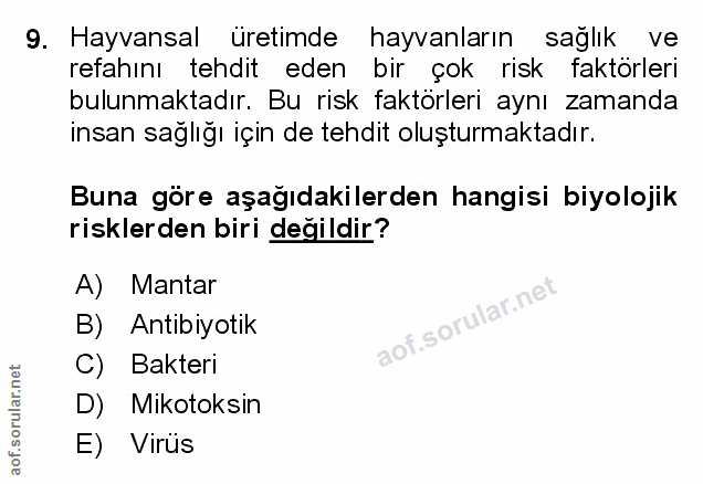 Soru 9