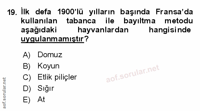 Soru 19