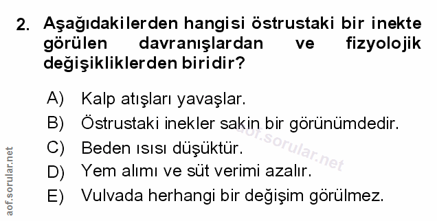 Soru 2