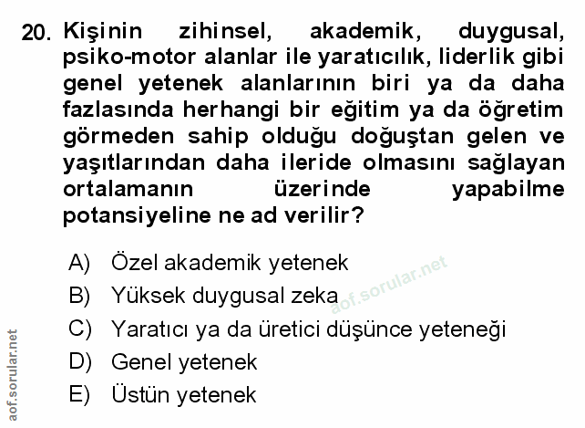 Soru 20
