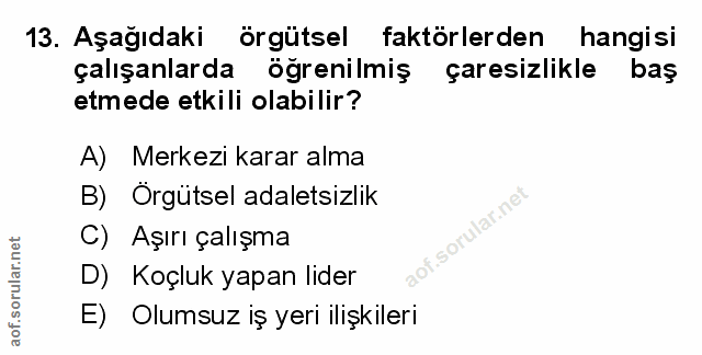 Soru 13