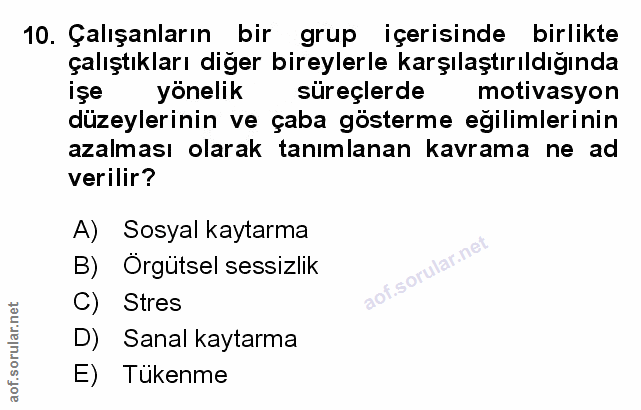 Soru 10