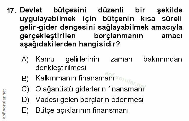 Soru 17