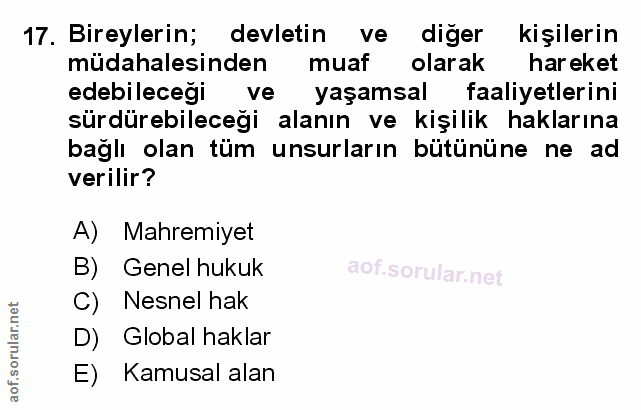 Soru 17