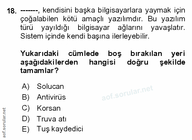 Soru 18