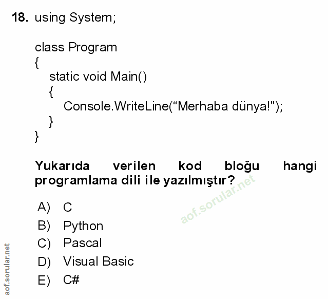 Soru 18
