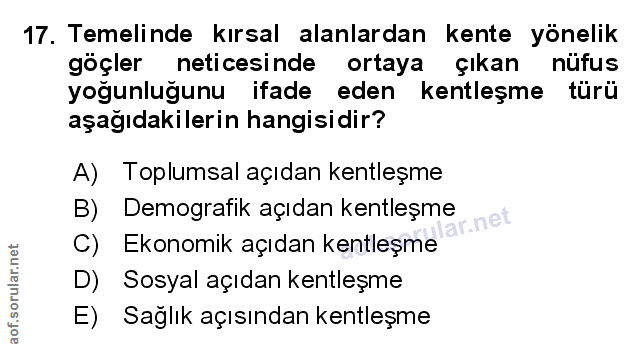 Soru 17