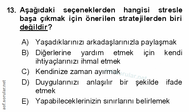 Soru 13