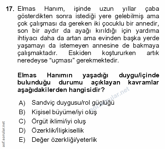 Soru 17