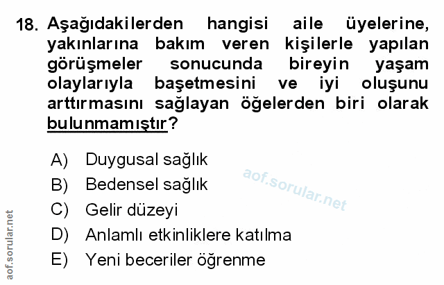 Soru 18