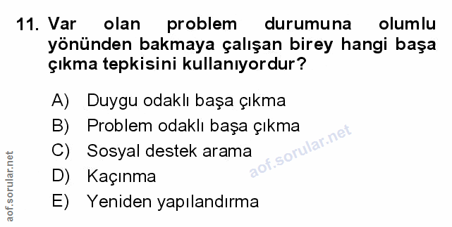 Soru 11