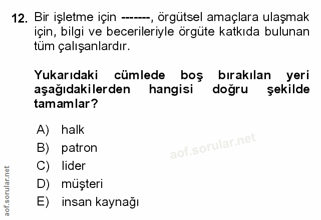 Soru 12