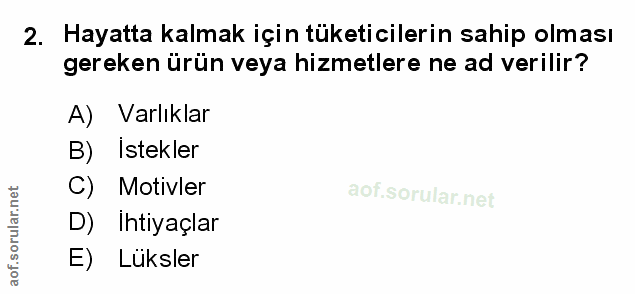 Soru 2