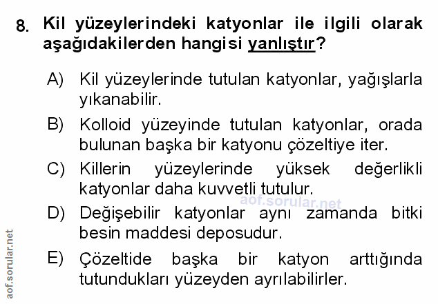 Soru 8