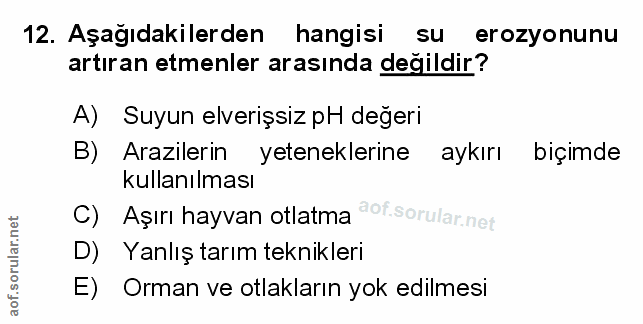 Soru 12