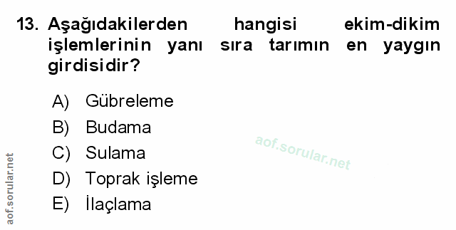 Soru 13