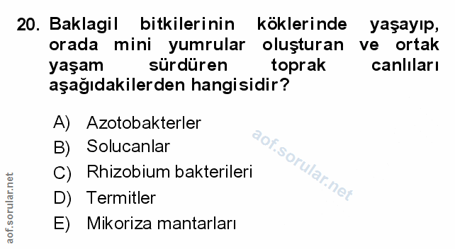Soru 20