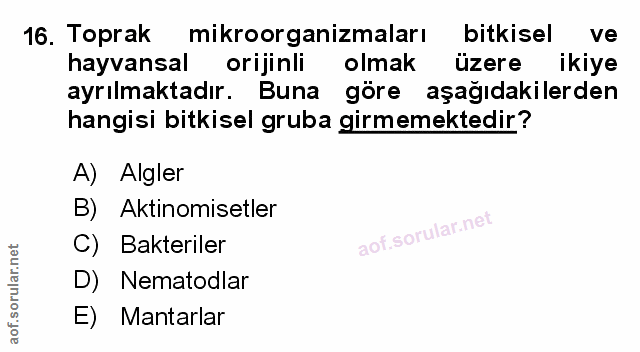 Soru 16