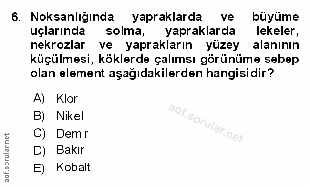 Soru 6