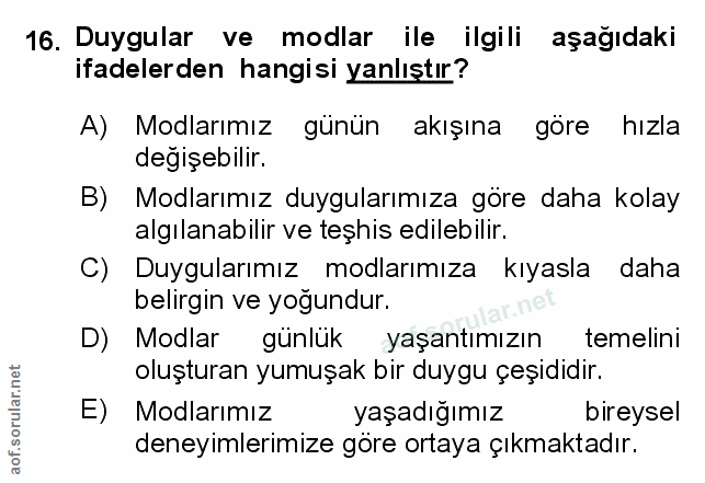 Soru 16
