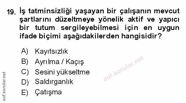 Soru 19