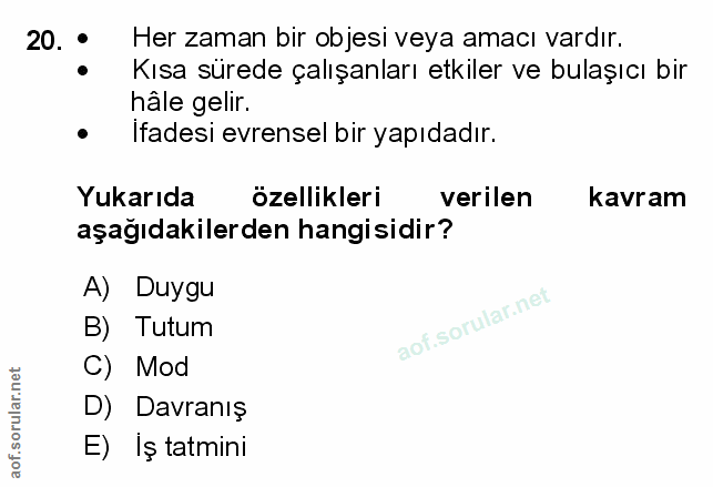 Soru 20